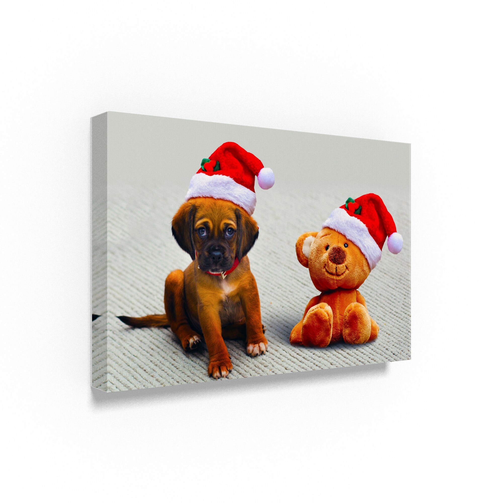 Shop Ata Alishahi Puppy And Teddy Canvas Art Free Shipping