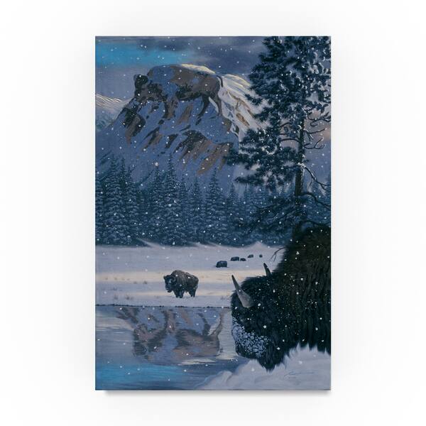 D. Rusty Rust 'Winter Buffalo' Canvas Art - Bed Bath & Beyond - 18968816