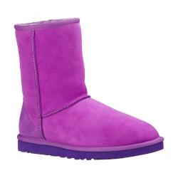 plum uggs