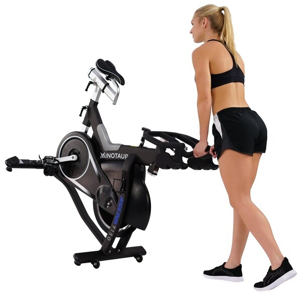 asuna minotaur cycle exercise bike