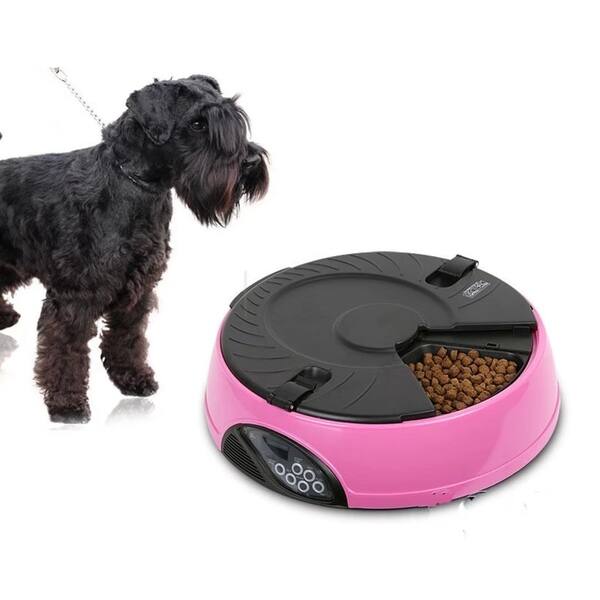 Shop 6 Meal Automatic Pet Feeder Auto Dog Cat Food Bowl Dispenser