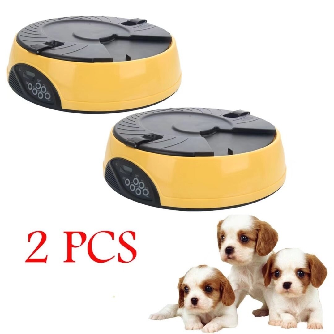 timed dog feeding bowl