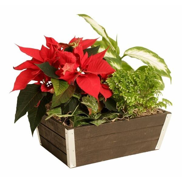Wald Imports Wood Decorative Crate Planter | Overstock.com Shopping ...