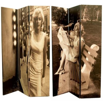 Marilyn Canvas Room Divider, Multicolor