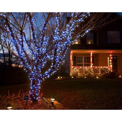 Fairy Lights - Blue Light