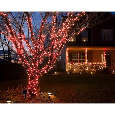 Fairy Lights - Red Light