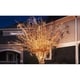 preview thumbnail 3 of 3, Fairy Lights - Warm Light