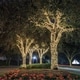 preview thumbnail 4 of 3, Fairy Lights - Warm Light