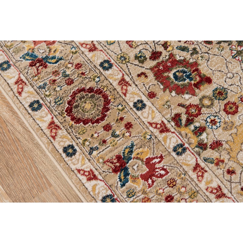 Momeni Lenox Traditional Area Rug.