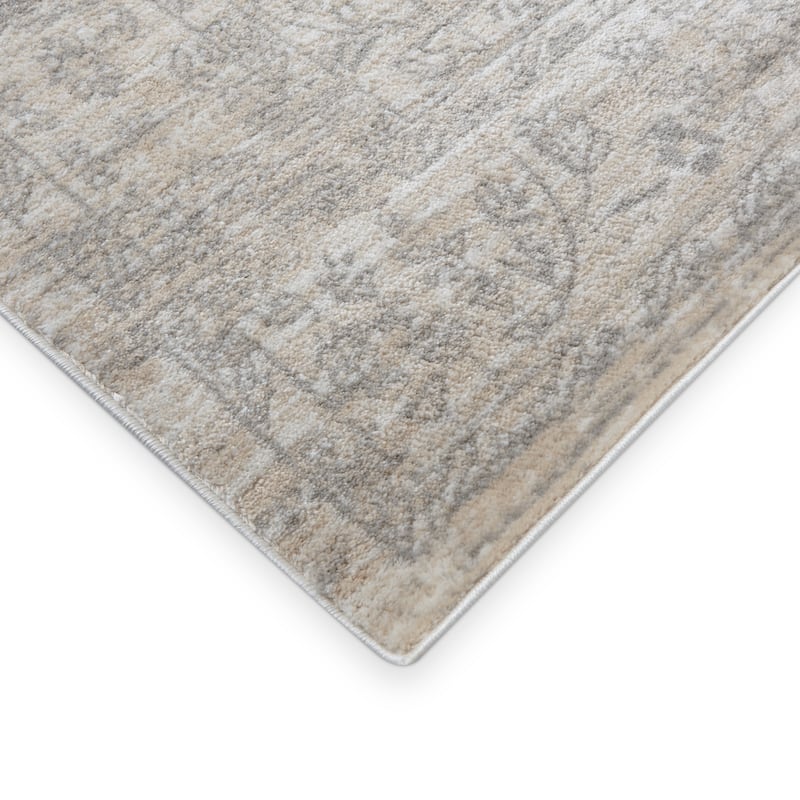 Porch & Den Lorimer Distressed Oriental Area Rug