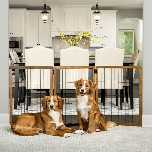 carlson design paw arched flexi pet gate