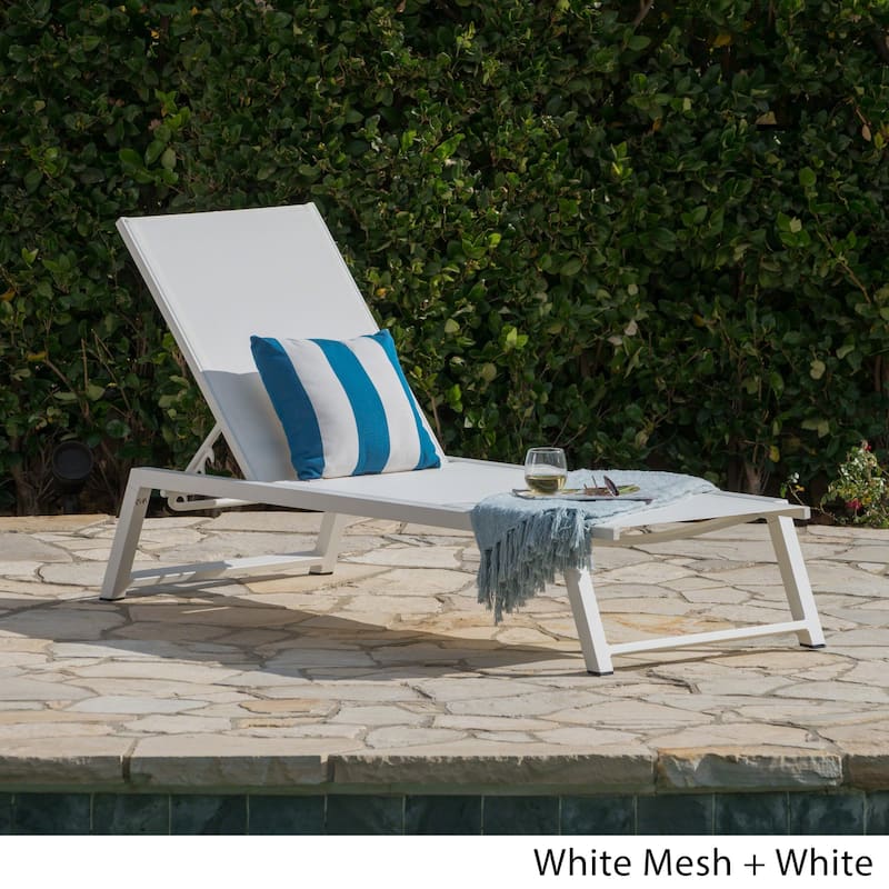 Myers Outdoor Aluminum Mesh Chaise Lounge by Christopher Knight Home