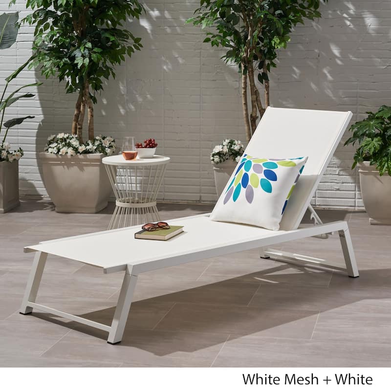 Myers Outdoor Aluminum Mesh Chaise Lounge by Christopher Knight Home