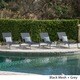 Myers Outdoor Aluminum Mesh Chaise Lounge (Set of 4) by Christopher Knight Home - Thumbnail 1