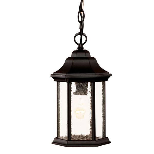 Acclaim Lighting Madison Matte Black Traditional Seeded Glass Lantern Pendant Light