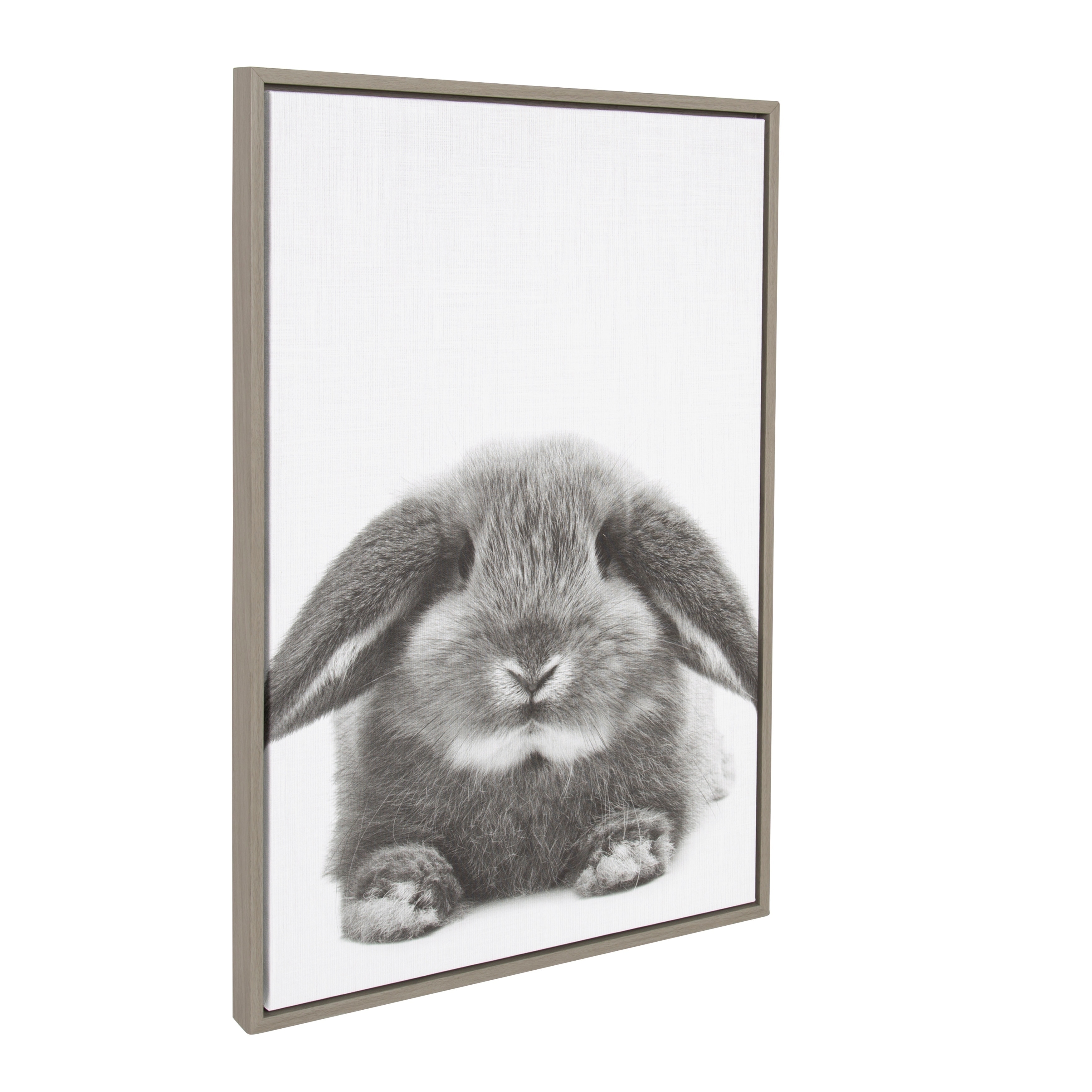 Sylvie Rabbit Framed Canvas Wall Art by Simon Te Tai, Gray 23x33 On Sale  Bed Bath  Beyond 19468643