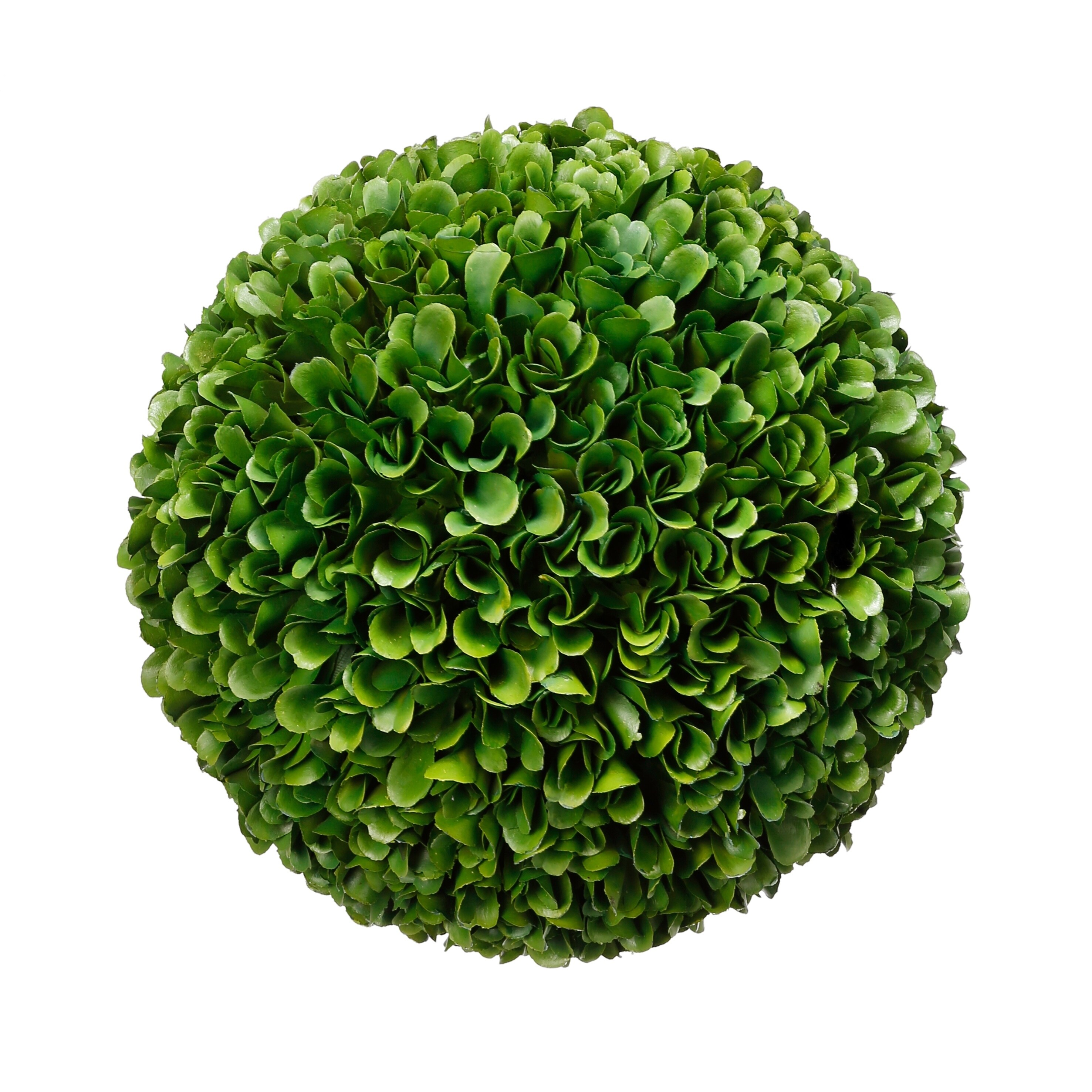 Boxwood Ball 805845294023 eBay