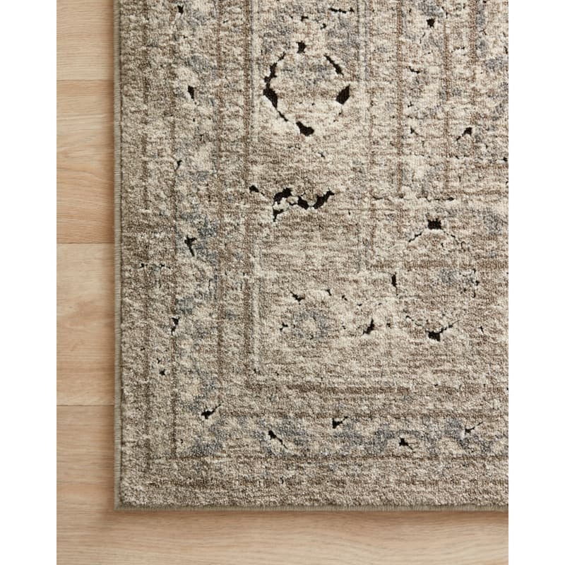 Alexander Home Carissa Sand Distressed Medallion Area Rug