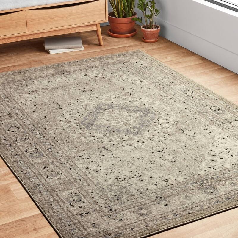 Alexander Home Carissa Sand Distressed Medallion Area Rug - 9' 6" x 13' - Rectangle