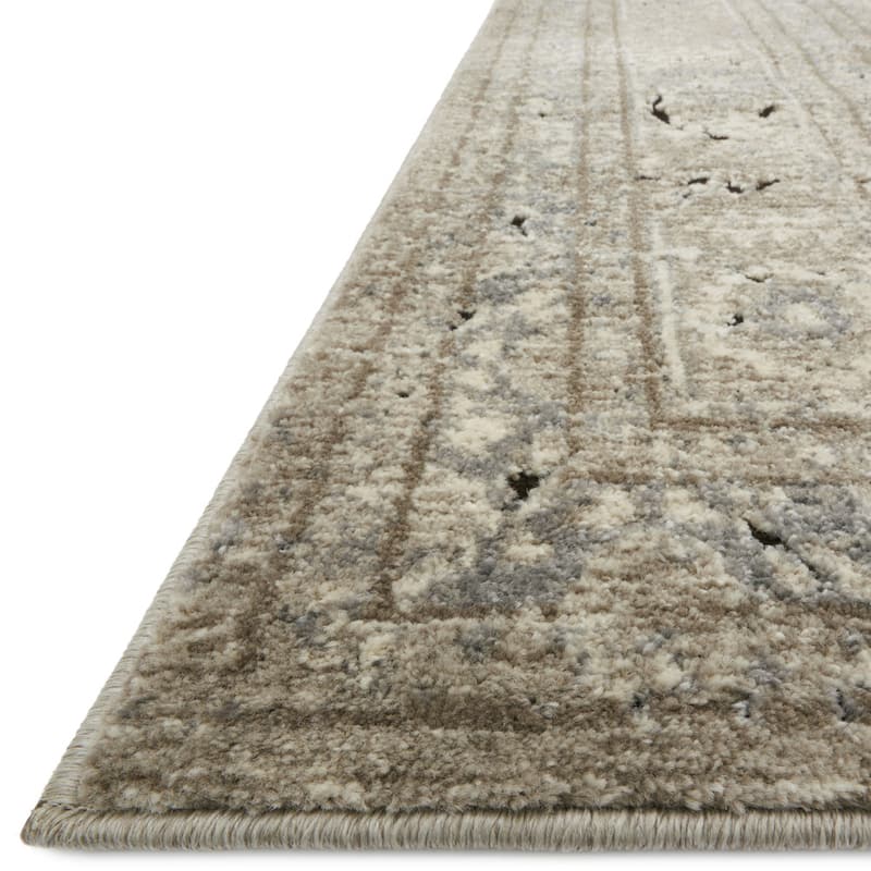 Alexander Home Carissa Sand Distressed Medallion Area Rug