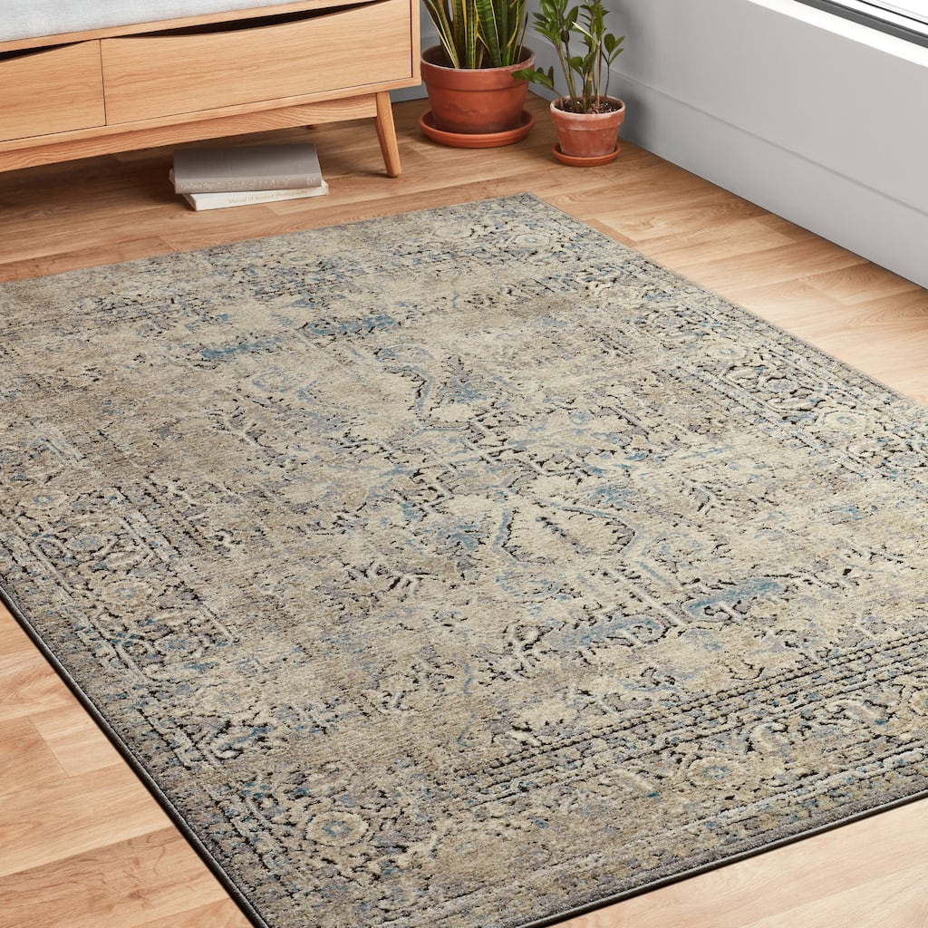 Alexander Carissa Home Vintage Stone Medallion Distressed Rug