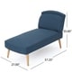 preview thumbnail 9 of 22, Carisia Mid Century Modern Fabric Chaise Lounge by Christopher Knight Home