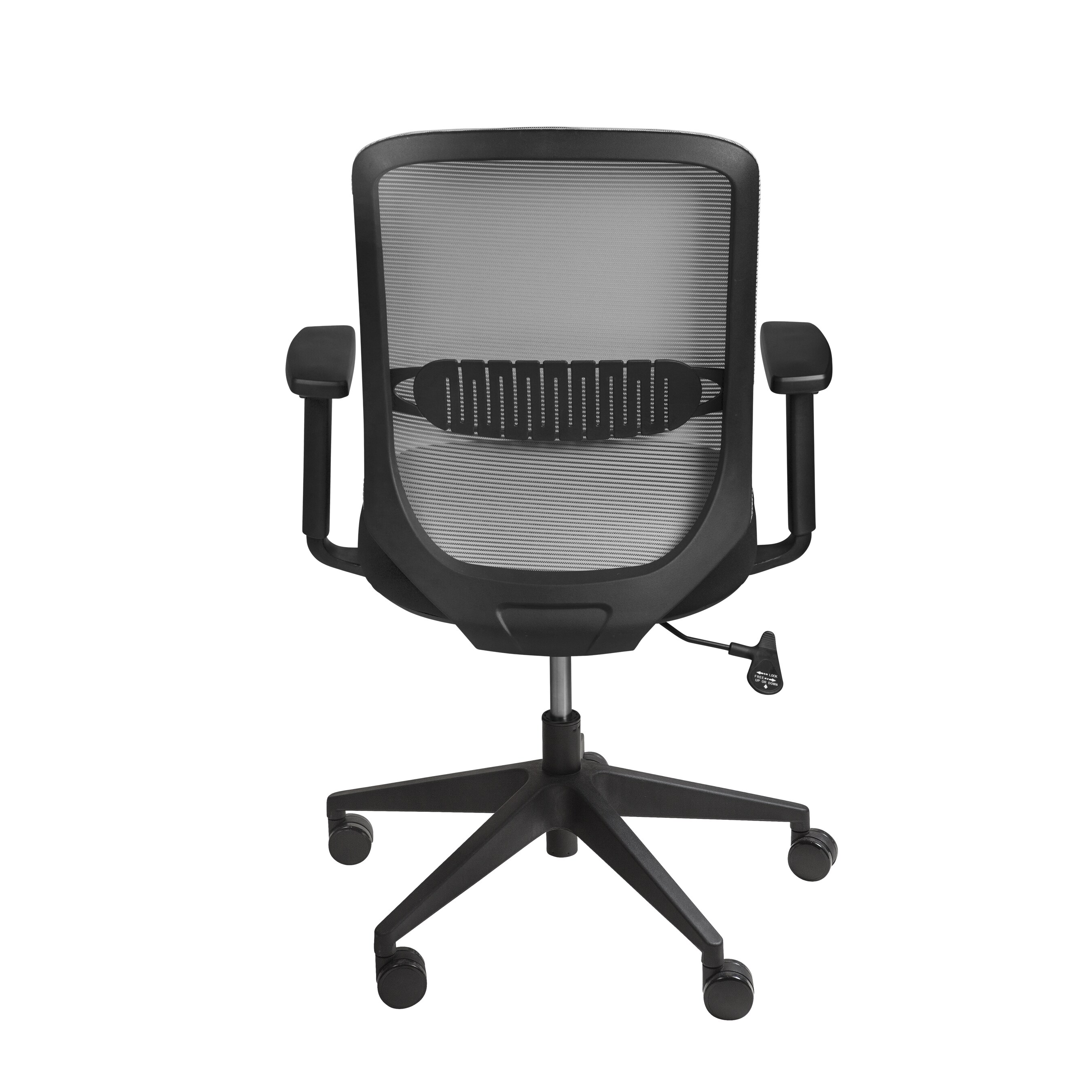 Isaac Low Back Chair - Isaac Low Back Office Chair – 2bmod