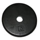 Shop Iron Disc Weight Plate, 5 lb - Free Shipping On Orders Over $45 ...