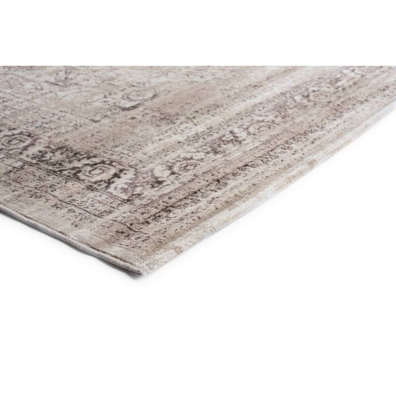 Essence Shabby Chic Oriental Indoor Area Rug