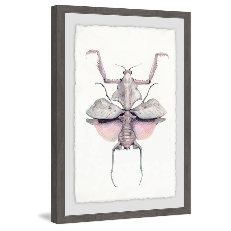'Prehistoric Pink Bug' Framed Painting Print - Multi-Color