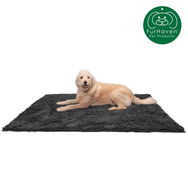 absorbent dog mat