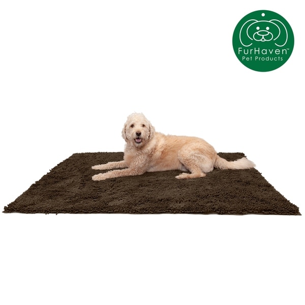 absorbent pet rug