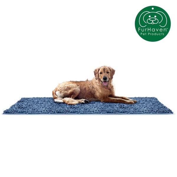 absorbent pet rug