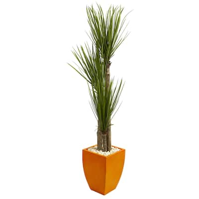 5.5' Triple Stalk Yucca Artificial Plant in Orange Planter