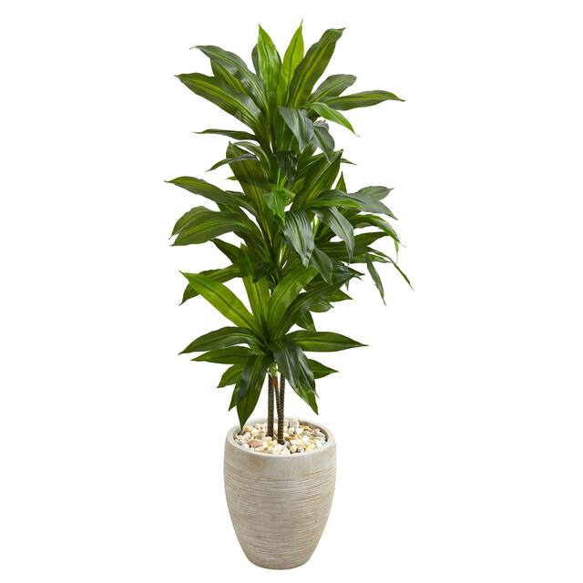 Artificial 4-foot Dracaena Plant in Sand Colored Planter (Real Touch)
