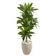 preview thumbnail 1 of 1, Artificial 4-foot Dracaena Plant in Sand Colored Planter (Real Touch) - Green