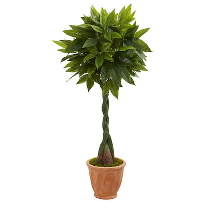 5' Money Artificial Tree in Terracotta Planter (Real Touch)