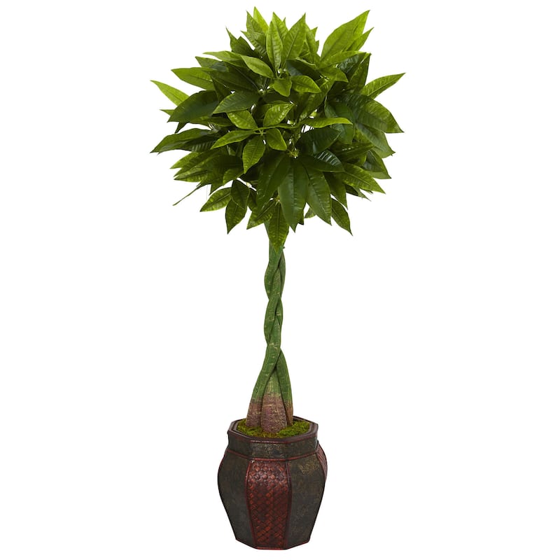 5' Money Artificial Tree in Decorative Planter