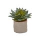 preview thumbnail 5 of 3, Mixed Succulent Artificial Plant (Set of 4)