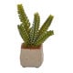 preview thumbnail 3 of 3, Mixed Succulent Artificial Plant (Set of 4)