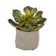 preview thumbnail 2 of 3, Mixed Succulent Artificial Plant (Set of 4)