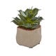 preview thumbnail 4 of 3, Mixed Succulent Artificial Plant (Set of 4)