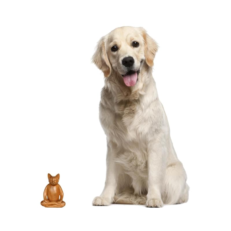Handmade Wood Sculpture, 'Ginger Cat Does Yoga' (Indonesia) - 6.25" H x 4.5" W x 2.4" D - 6.25" H x 4.5" W x 2.4" D - Brown