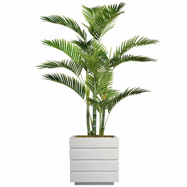 61.5" Tall Palm Tree with Burlap Kit and Fiberstone planter