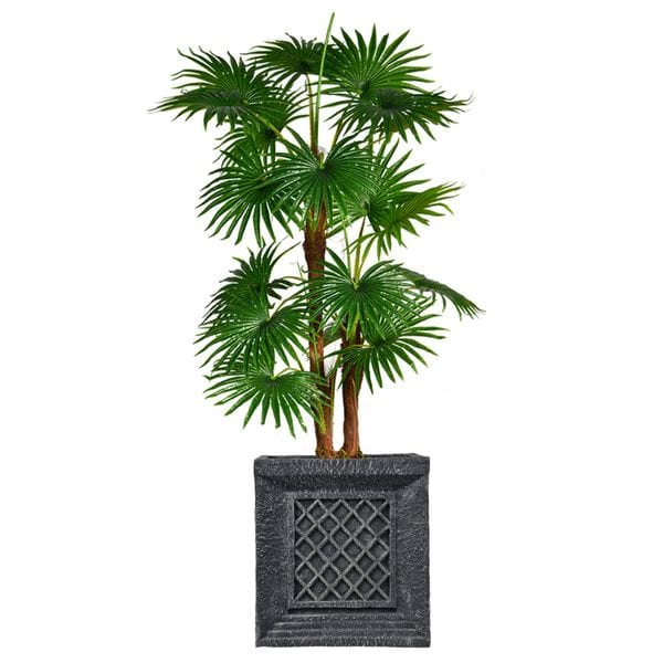 69" Tall Fan Palm Tree, Burlap Kit and Fiberstone planter