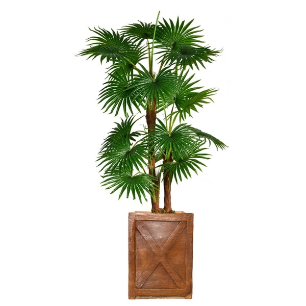 57" Tall Fan Palm Tree, Burlap Kit and Fiberstone planter