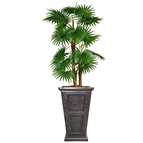 66.8" Tall Fan Palm Tree, Burlap Kit and Fiberstone planter