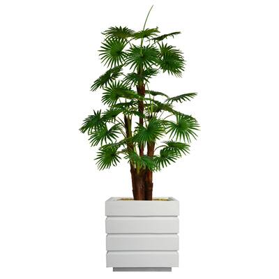 79.5" Tall Fan Palm Tree, Burlap Kit and Fiberstone planter