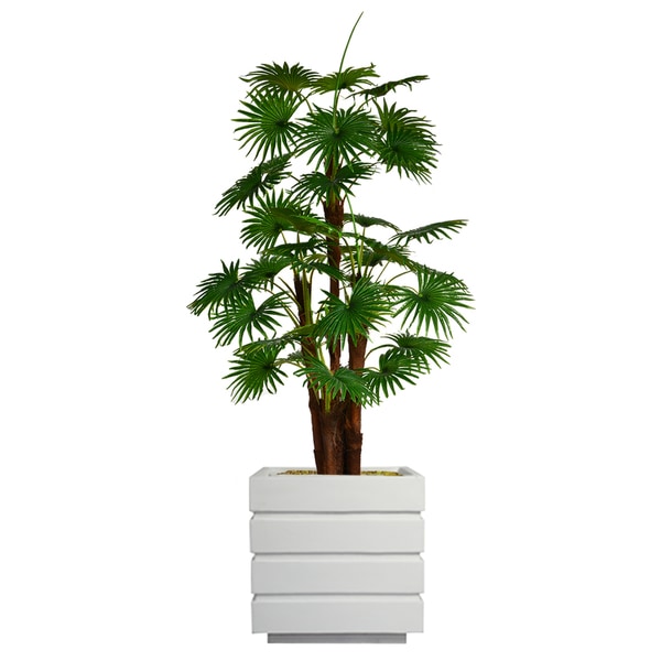 79.5" Tall Fan Palm Tree, Burlap Kit and Fiberstone planter