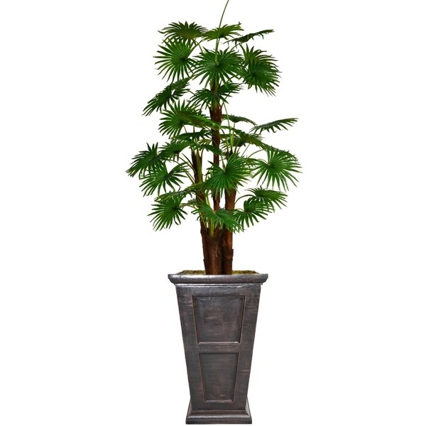 84.8" Tall Fan Palm Tree, Burlap Kit and Fiberstone planter